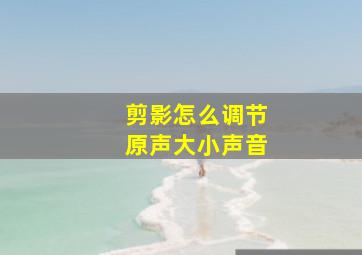 剪影怎么调节原声大小声音