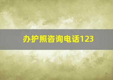 办护照咨询电话123