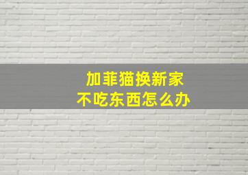 加菲猫换新家不吃东西怎么办