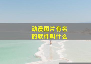 动漫图片有名的软件叫什么