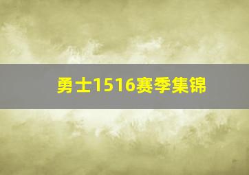 勇士1516赛季集锦