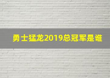 勇士猛龙2019总冠军是谁