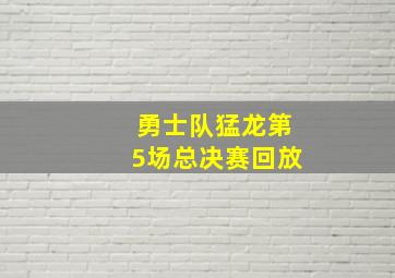 勇士队猛龙第5场总决赛回放