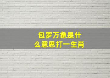 包罗万象是什么意思打一生肖