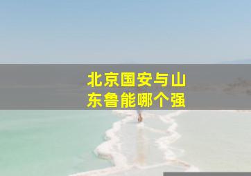 北京国安与山东鲁能哪个强