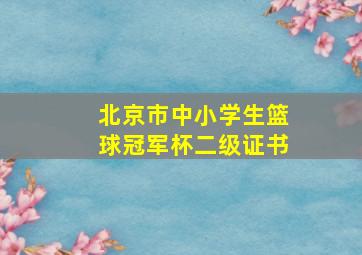 北京市中小学生篮球冠军杯二级证书