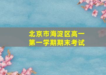 北京市海淀区高一第一学期期末考试