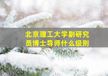 北京理工大学副研究员博士导师什么级别