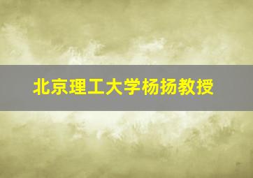 北京理工大学杨扬教授