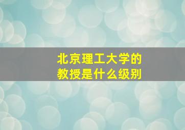 北京理工大学的教授是什么级别