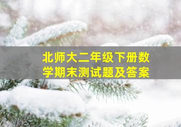 北师大二年级下册数学期末测试题及答案