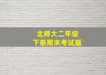 北师大二年级下册期末考试题