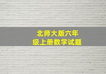 北师大版六年级上册数学试题