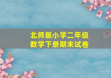 北师版小学二年级数学下册期末试卷