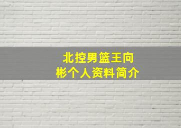 北控男篮王向彬个人资料简介