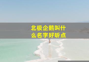 北极企鹅叫什么名字好听点