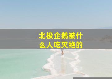 北极企鹅被什么人吃灭绝的