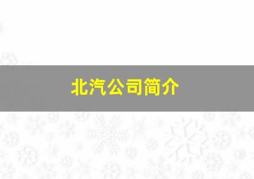 北汽公司简介