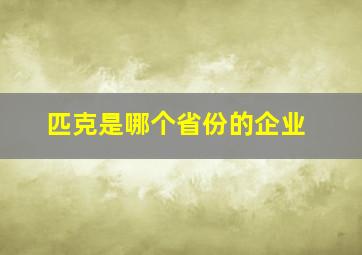 匹克是哪个省份的企业