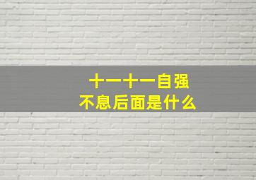 十一十一自强不息后面是什么