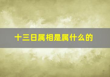 十三日属相是属什么的