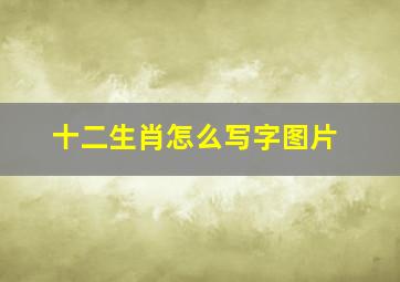 十二生肖怎么写字图片