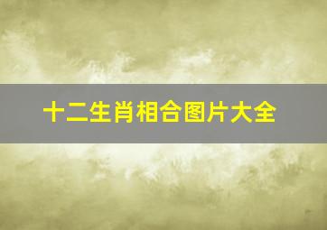 十二生肖相合图片大全