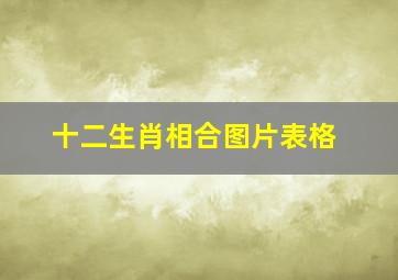 十二生肖相合图片表格