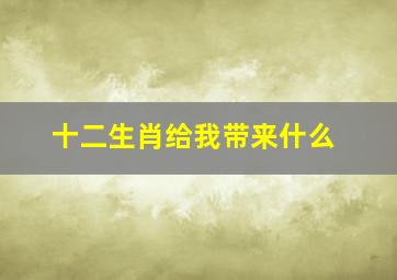 十二生肖给我带来什么