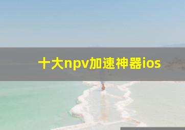 十大npv加速神器ios