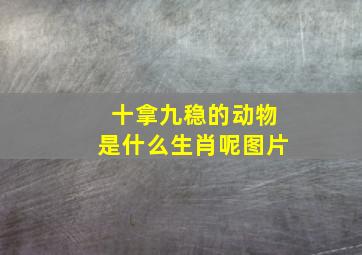 十拿九稳的动物是什么生肖呢图片