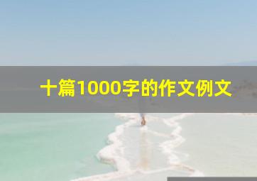 十篇1000字的作文例文