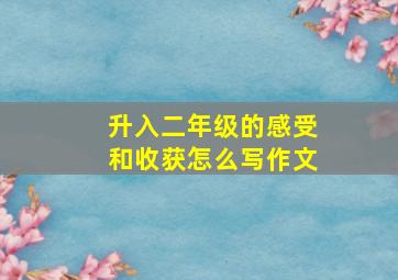 升入二年级的感受和收获怎么写作文