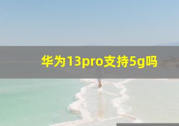 华为13pro支持5g吗