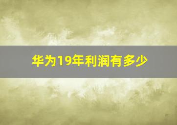 华为19年利润有多少