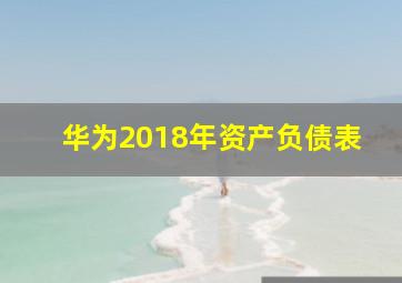 华为2018年资产负债表