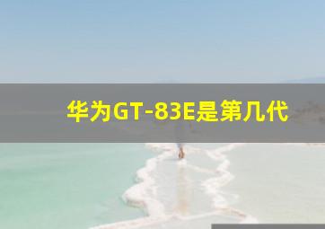 华为GT-83E是第几代