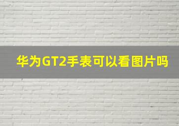 华为GT2手表可以看图片吗