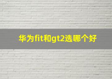 华为fit和gt2选哪个好