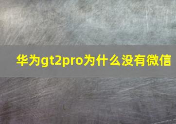 华为gt2pro为什么没有微信