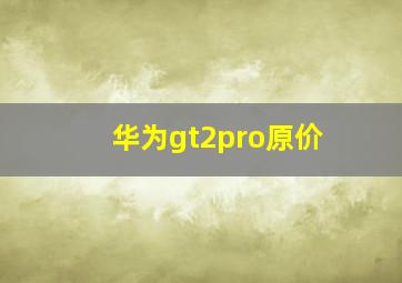 华为gt2pro原价