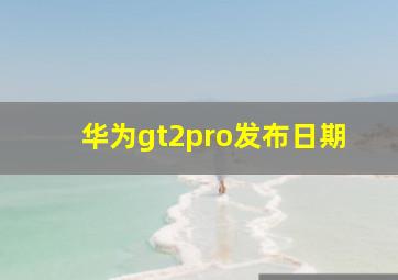 华为gt2pro发布日期