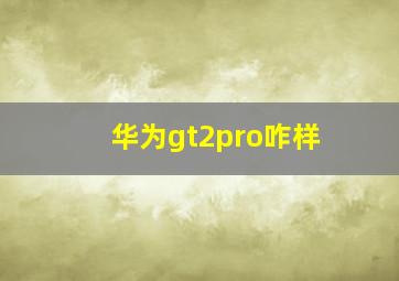 华为gt2pro咋样