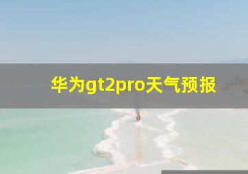 华为gt2pro天气预报