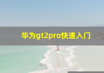 华为gt2pro快速入门