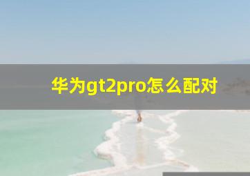 华为gt2pro怎么配对