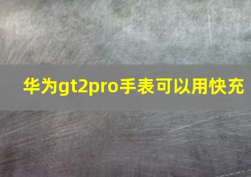 华为gt2pro手表可以用快充