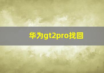 华为gt2pro找回