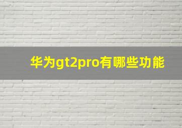 华为gt2pro有哪些功能