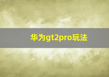 华为gt2pro玩法